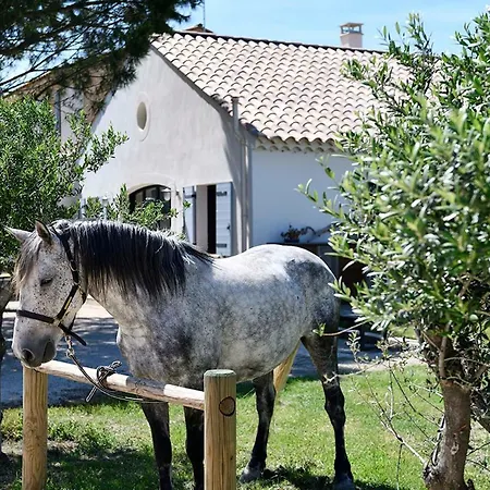 Mas Trinita équestre En Camargue Appartement *