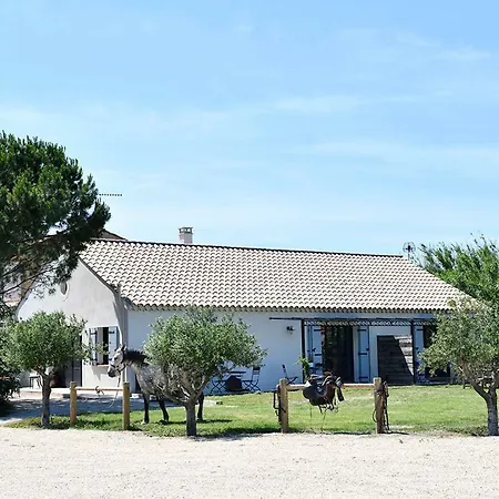Mas Trinita équestre En Camargue