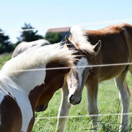 Mas Trinita équestre En Camargue *