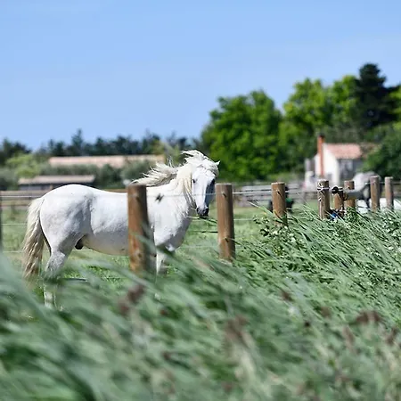 Mas Trinita Equestre En Camargue * Arles